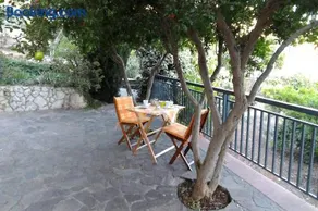 Il Verde Melograno - Image 2