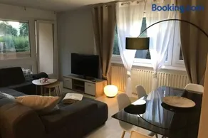 Appartement, confortable, aux portes de Geneve - 86 rue de Meyrin, Ferney Voltaire - Image 4