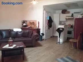 Grosse, helle Einzimmerwohnung - Image 5
