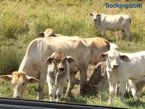 Karalee Farmstay Getaway - Image 3