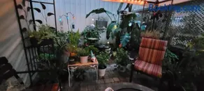 Wanna B a Beach House - Image 3