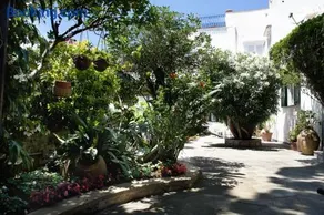 Villa Le Terrazze di Capri - Image 3