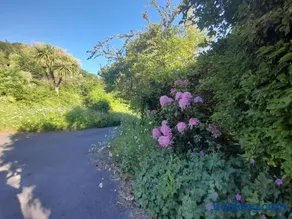 Higher Orchard - Image 2