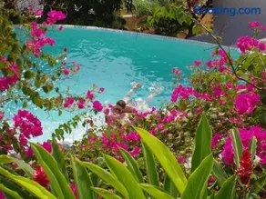 Villa Bugambilias - Image 2