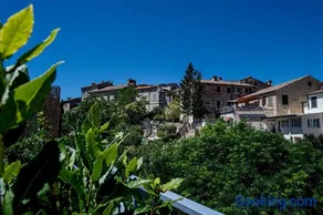 GpuntoLeo - Image 3