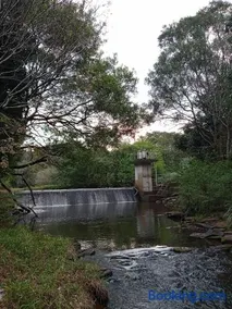 Platypus Retreat Maleny-farm feel close to town - Image 5