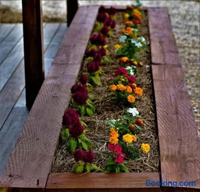 Bellevue Harvest Estate - Image 3