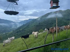 El Amanecer Glamping vereda quiebra de Velez Finca El Truco unica experiencia - Image 5