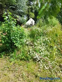 Higher Orchard - Image 4