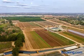 הבקתה השלווה - Image 3