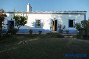 Horta do Padre - Image 3