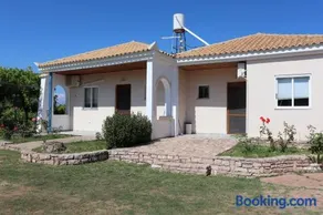 TASSOS 2 - Image 4