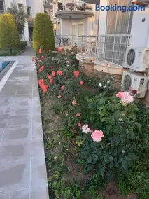 Palmbeach site - Image 2