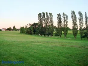 Viguier - Image 2