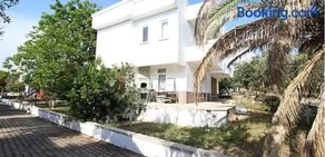Beyaz martı sitesi - Image 2