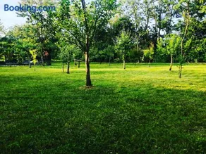 Casa Uioara - Image 2