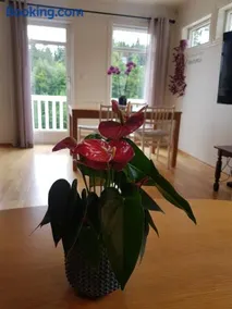 Appartment - Image 3