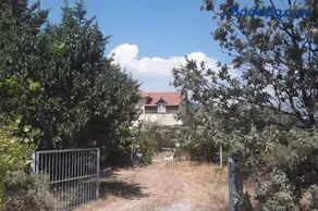 Dag Evi - Image 4