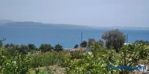 Sunay hanımın yeri sahil bufe - Image 2