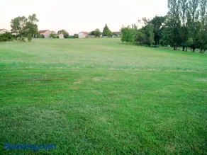 Viguier - Image 5