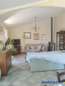 4 mori - Image 5