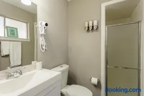 The Red Door Sunflower - Updated Home in Houston - Image 4