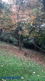 Recanto Jamirao - Image 2