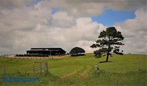 Bellevue Harvest Estate - Image 5