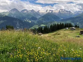Relaxt in Disentis - Image 2