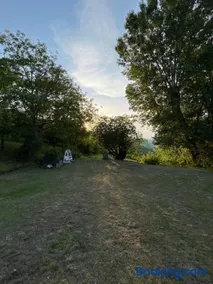 Casa singola immersa nel verde - Image 2