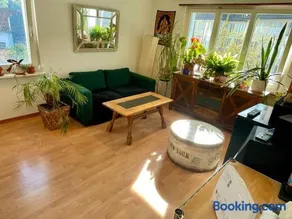 Nice Central Entire Appartement with Plants at the Rheinfalls - Image 2