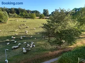 Ferienwohnung Aspach mit Waldblick - Image 4