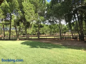 Quinta da Lagoa Salvaterra de Magos - Image 4