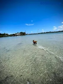 Coastal Retreat in Jupiter - Image 3