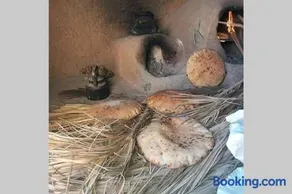 Maison en terre au milieu de la palmeraie - Image 4