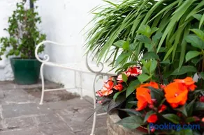Bellas Mouse - Penryn Apartment - Image 2