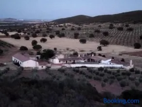 Finca Moral Almendros - Image 4