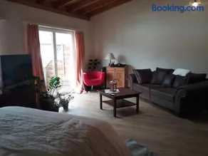 Grosse, helle Einzimmerwohnung - Image 2