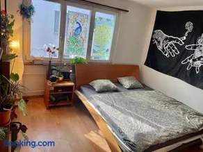 Nice Central Entire Appartement with Plants at the Rheinfalls - Image 5