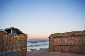 FreeBeach - Image 5
