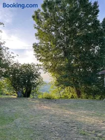 Casa singola immersa nel verde - Image 5